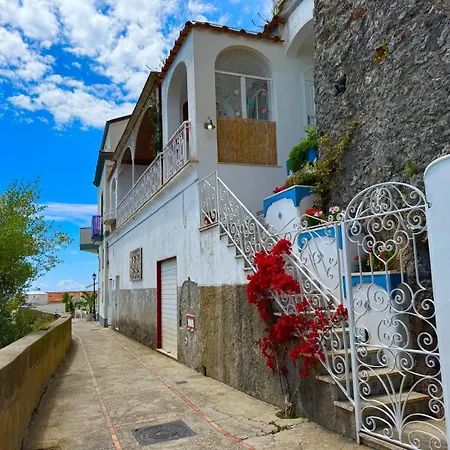 Casa Mimi Lägenhet *